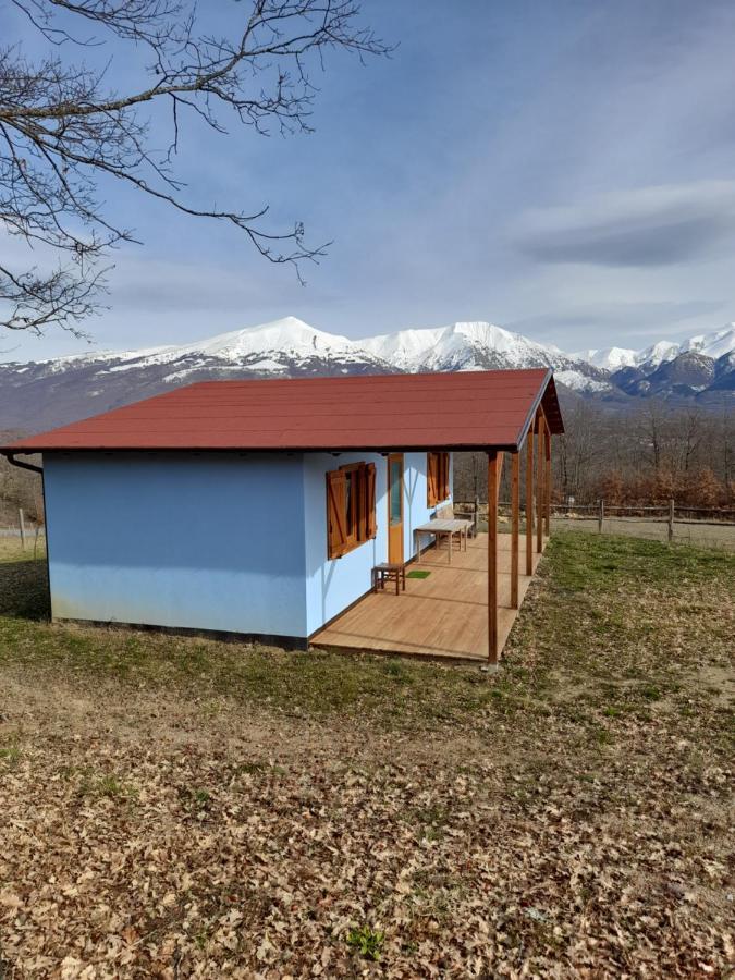 D'apostolo Amatrice