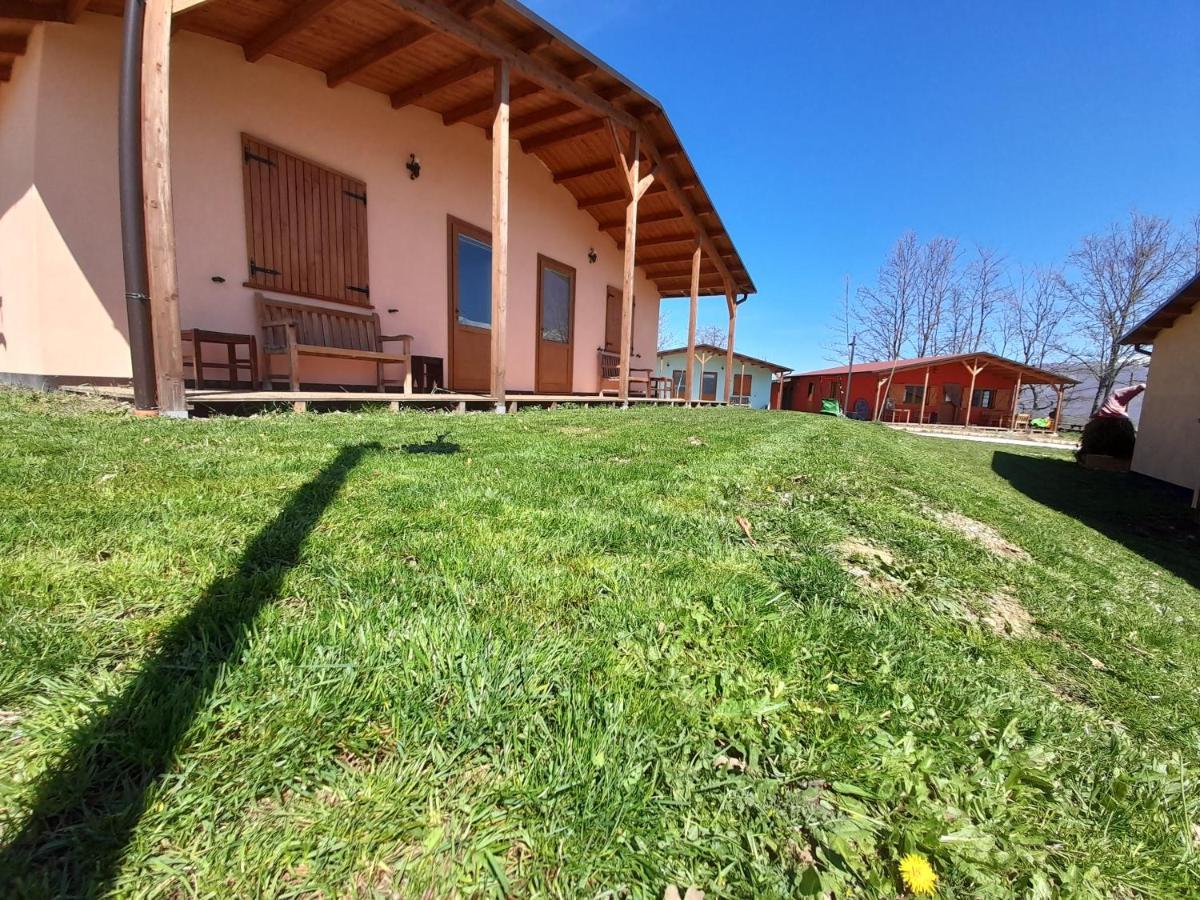 D'apostolo Amatrice